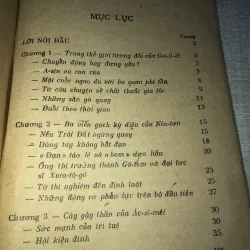 Từ cây gậy thần ác si mét 995655