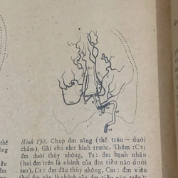 GIẢI PHẪU CHỨC NĂNG VÀ ỨNG DỤNG CHI TRÊN, CHỊ DƯỚI - sách y học  539870