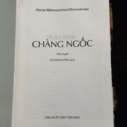 Chàng ngốc  789426