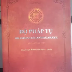 Tạng Vô Tỷ Pháp - 7 cuốn 717706