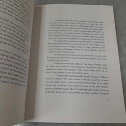 JONATHAN LIVINGSTON SEAGULL - RICHARD BACH 538932