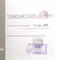 Cartier Santos de Mademoiselle SM W25064Z5 SS Quartz - Hàng hiệu Authentic 872105