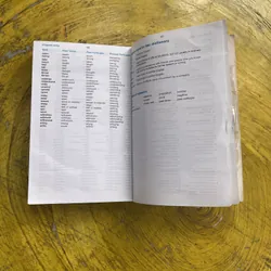 LONGMAN WORDWISE DICTIONARY- 2ND EDITION  602677