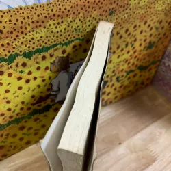 Tính Lưỡng Phân Trong Truyện Kiều - Trương Minh Đức 926379