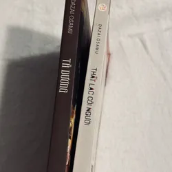 Combo Dazai Osamu 701862