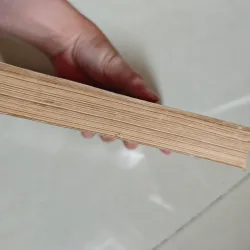 Đặng Tiểu Bình - Richard Evans 1001107