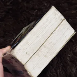 Cuốn theo chiều gió (Dương Tường dịch) 713120