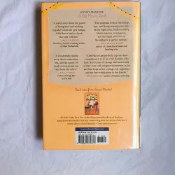 A Soft Place to Land by Janae Marks – A Heartfelt M.A Novel About Friendship and Healing 763259