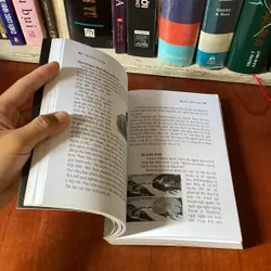 II Tựa sách: Sâu Thắm Sự Sống - Nguyễn Chấn Hùng - 2010 557889