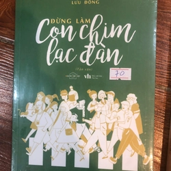 Đừng làm con chim lạc đàn