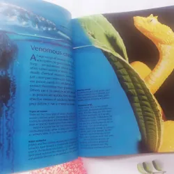 Dangerous Creatures 1002054