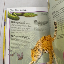 Over 1000 fantastic earth facts  413029