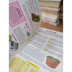 The bedding plant expert - Dr. D.G.Hessayon 795872