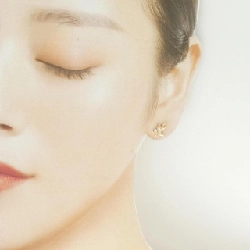 Bông tai lá ô liu Tiffany - Hàng hiệu Authentic 844975