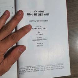 Tiến trình Gốm sứ Việt Nam 469824