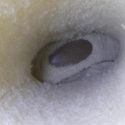 Giày boot HERMES Folie 222063Z - Hàng hiệu Authentic 829524