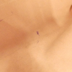 Túi xách Louis Vuitton Damier Azur Propiano N44027 - Hàng hiệu Chính hãng 765384