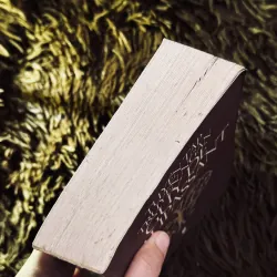 Tuyển tập truyện ngắn Guy De Maupassant 1020159