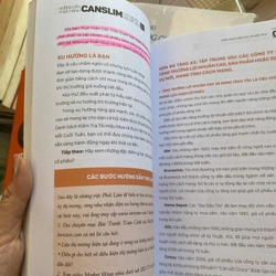 Hướng dẫn thực hành Canslim 550922