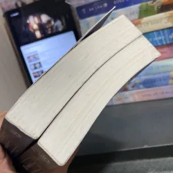 (Ngôn tình) - Hồng nhan loạn - Đoá Đoá Vũ ( 2 tập ) 975618