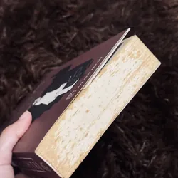 Thành trì - A.J. Corin 718364