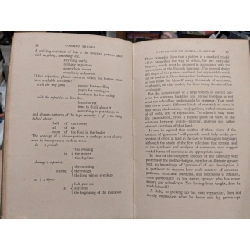 Common Errors In English 789490