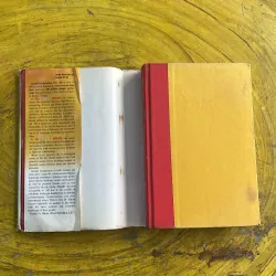 THE COUPLE’S DISEASE - LAWRENCE S. HAKIM MD, FACS 973919