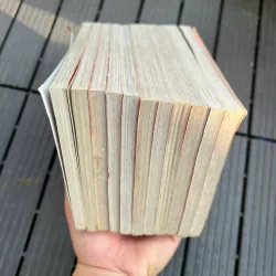 DRAGON VOICE (GIỌNG HÁT CỦA RỒNG) 957348