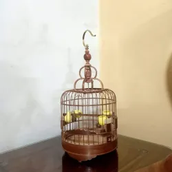 lồng khuyên , hút mật mini  1027616