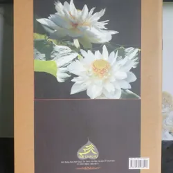 Pháp Môn Một Đời Thành Tựu 640921