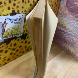 Hiện Tượng Thần Kỳ Đông Á - Các Quan Điểm Khác Nhau 927560