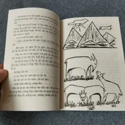 CHÚ ỐC ĐẢO XA 720717