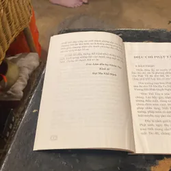 Diệu Chỉ Phật Tâm Tông- Thích Đạt Ma Khế Định 689236