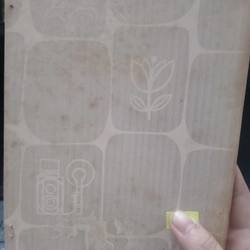 Bước đầu chụp ảnh  491335