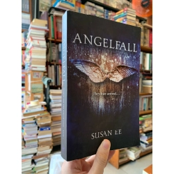 Angle Fall - Susan Lee