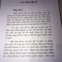 Sống thiền 993724