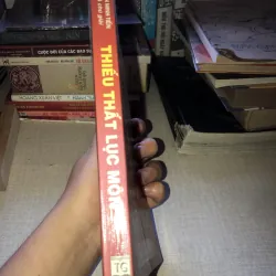 Thiếu Thất Lục Môn - Yếu Chỉ Thiền Đạt Ma 935187