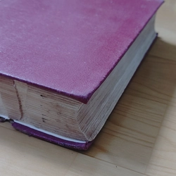 LÊNIN - SỰ PHÁT TRIỂN CNTB O NGA 497051