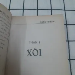 Hướng dẫn nấu các món XÔI CHÈ thông dụng. Hồng Phượng biên soạn 716503