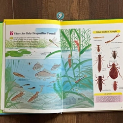 [Bìa cứng] INSECT WORLD (A Child’s First Library of Learning) 224287