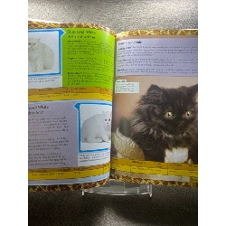 Encyclopedia of cats mới 90% sách tranh màu ngoại văn và thiếu nhi các loài mèo HPB1605 SÁCH NGOẠI VĂN 351237