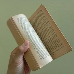 A ripple from the storm, sách ngoại văn tiếng Anh english book tiểu thuyết  707876