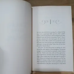 Dream a Little Dream: The Silver Trilogy (Kerstin Gier) 928334