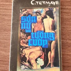 Tiểu thuyết SƠN NỮ & TƯỚNG CƯỚP 776169