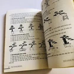 TẠO DÁNG BON SAI 719432