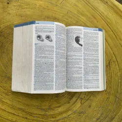 OXFORD ADVANCED LEARNER’S DICTIONARY- new 8 th edition  799946