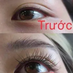 Vuốt dài, dày mi 971572