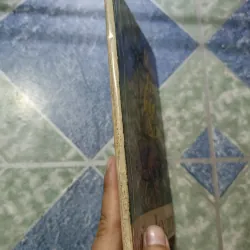 Mầu tím hoa sim thơ - Hữu Loan 975099