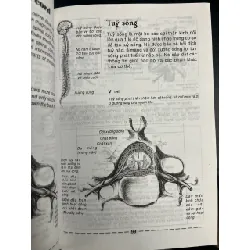 1001 chi tiết về cơ thể con người - Anatomy