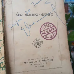 ÓC SÁNG SUỐT - NGUYỄN DUY CẦN